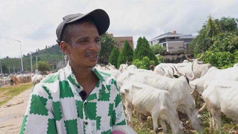 Fulani Cattle Migration